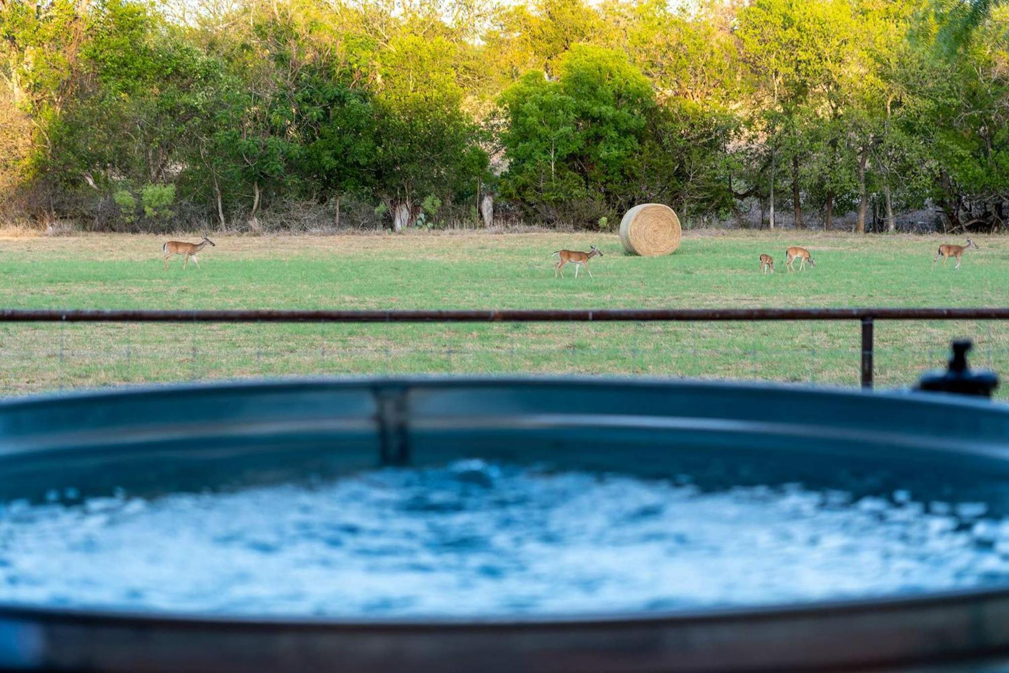 弗雷德里克斯堡Container Haus Pet Friendly With Cowboy Pool别墅 外观 照片